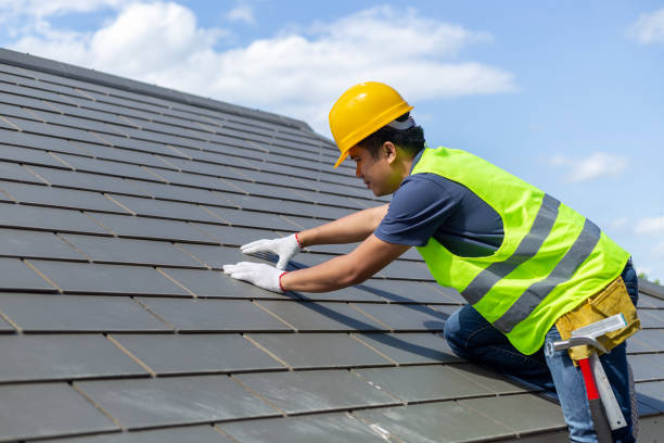 Best Solar Panel Roofing Installation  in Point Roberts, WA