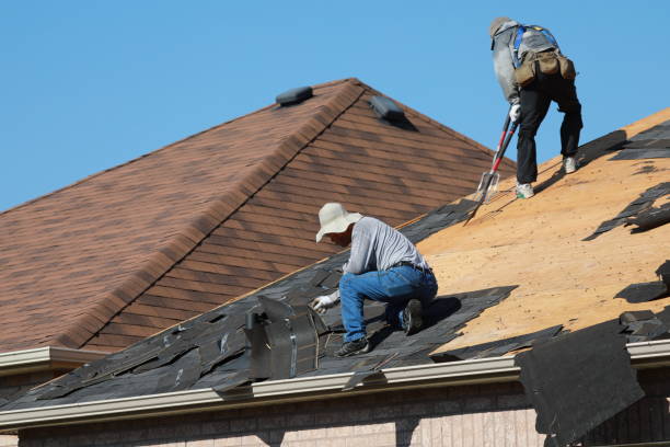 Best Storm Damage Roof Repair  in Point Roberts, WA